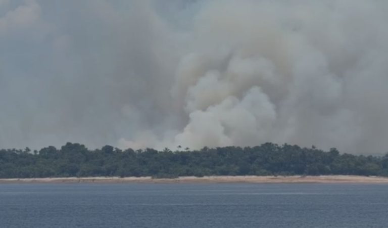 Incêndio em área de vegetação mobiliza cinco viaturas na AM-070 no Amazonas